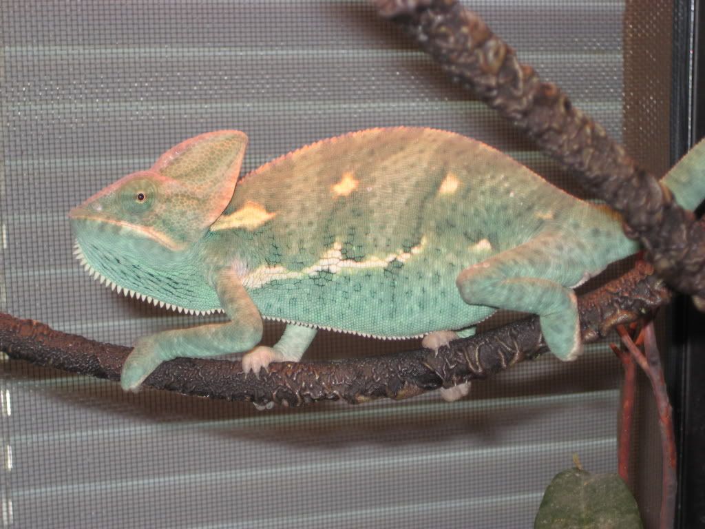 IMG_8144.jpg