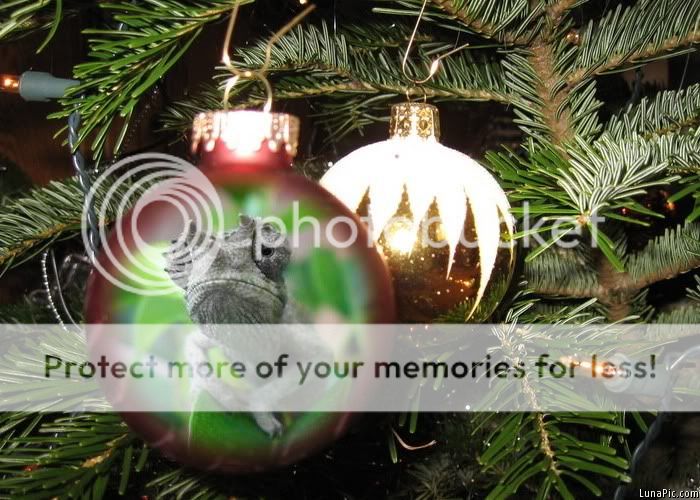 MontyBauble.jpg