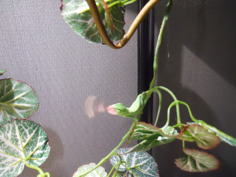 DSCN0850.jpg