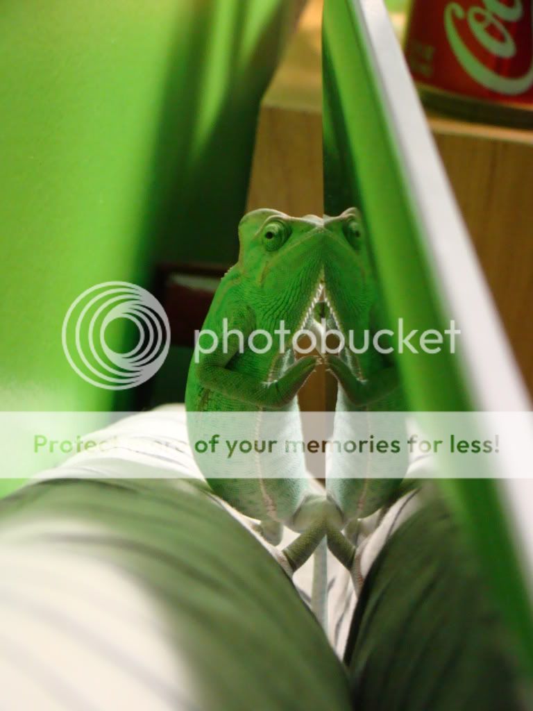 DSC04295.jpg