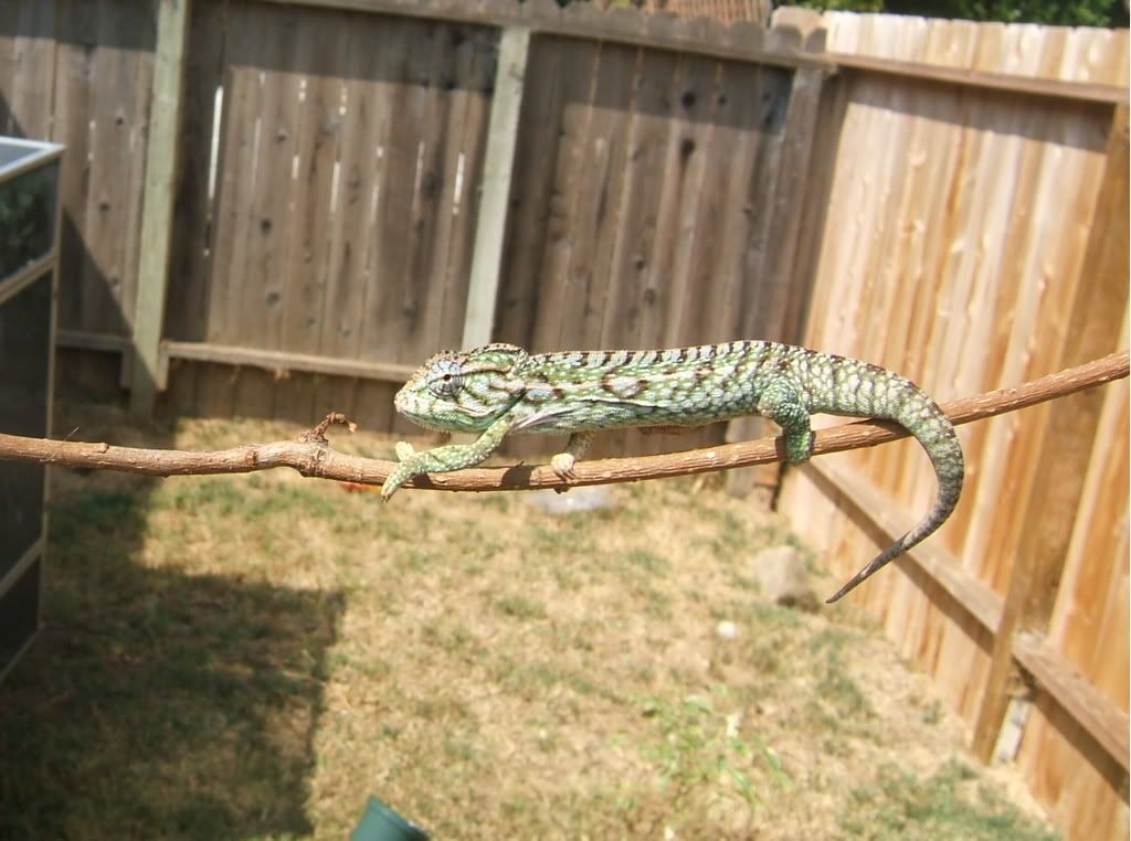 DSCF7514.jpg