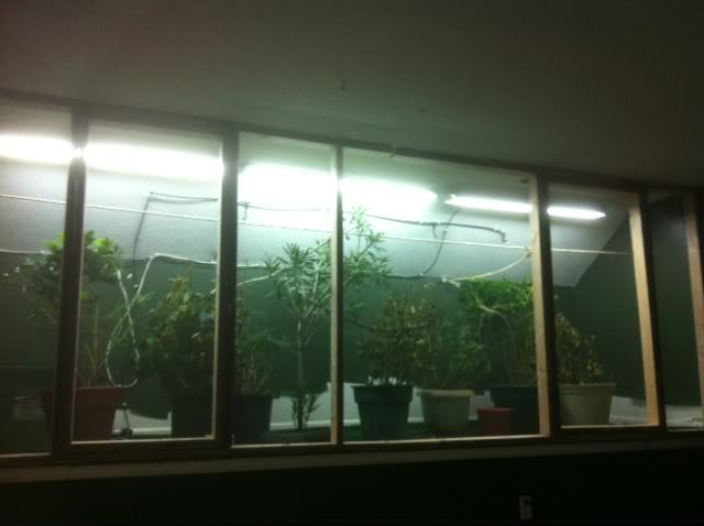 photo-2.jpg