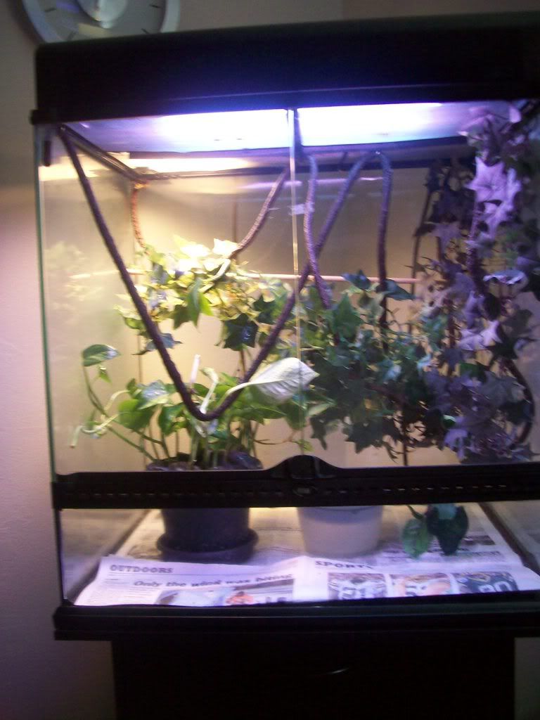 100_4247-1.jpg