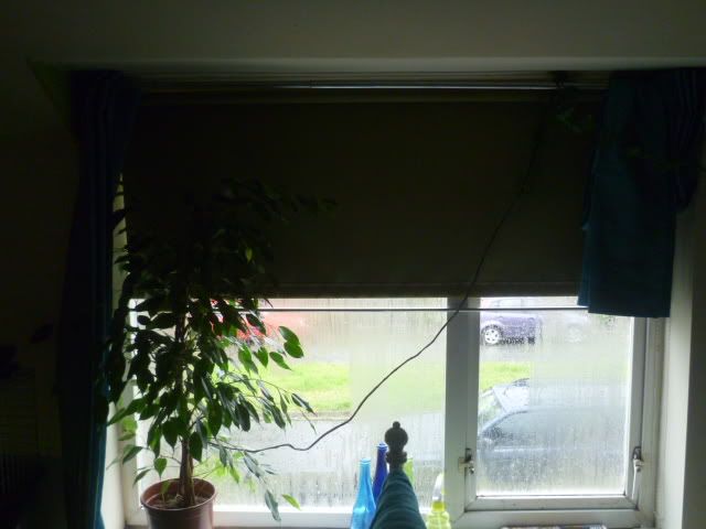P1010304.jpg