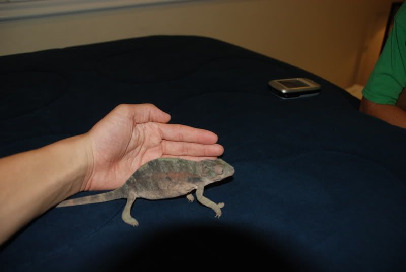 20070821007.jpg