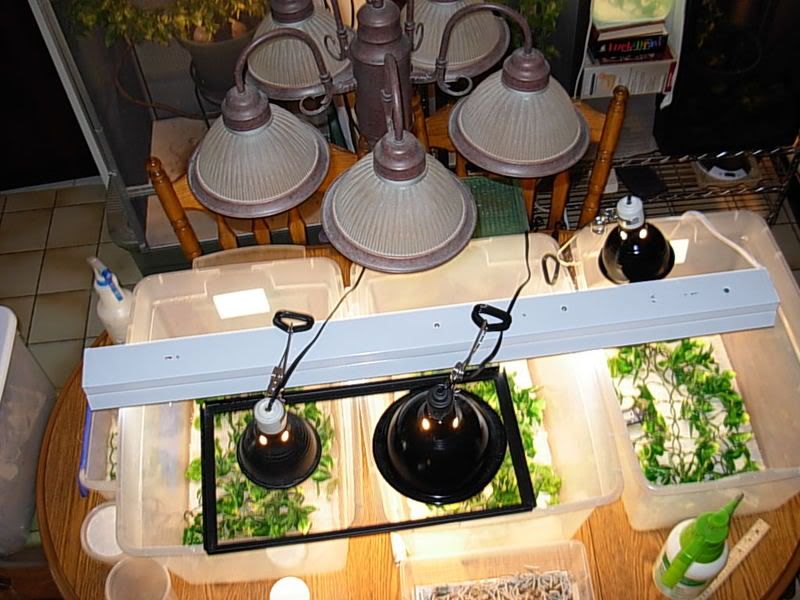 DSCN2034.jpg