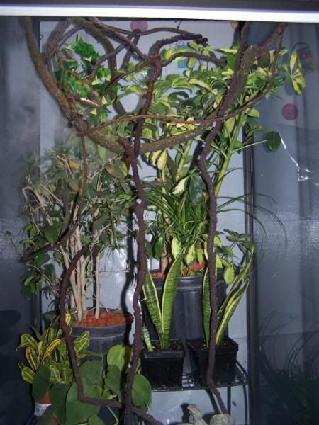100_1074.jpg