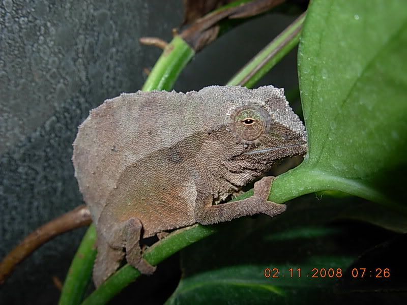DSCN0494.jpg