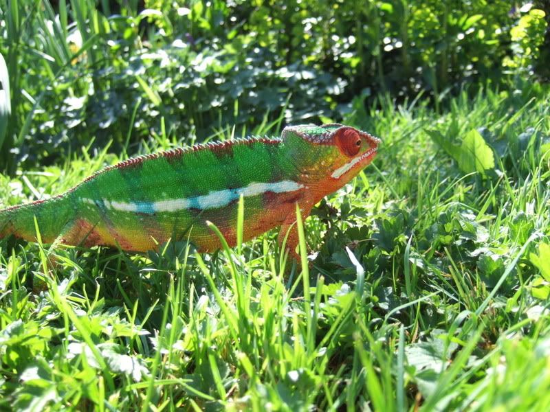 DSCF3406.jpg
