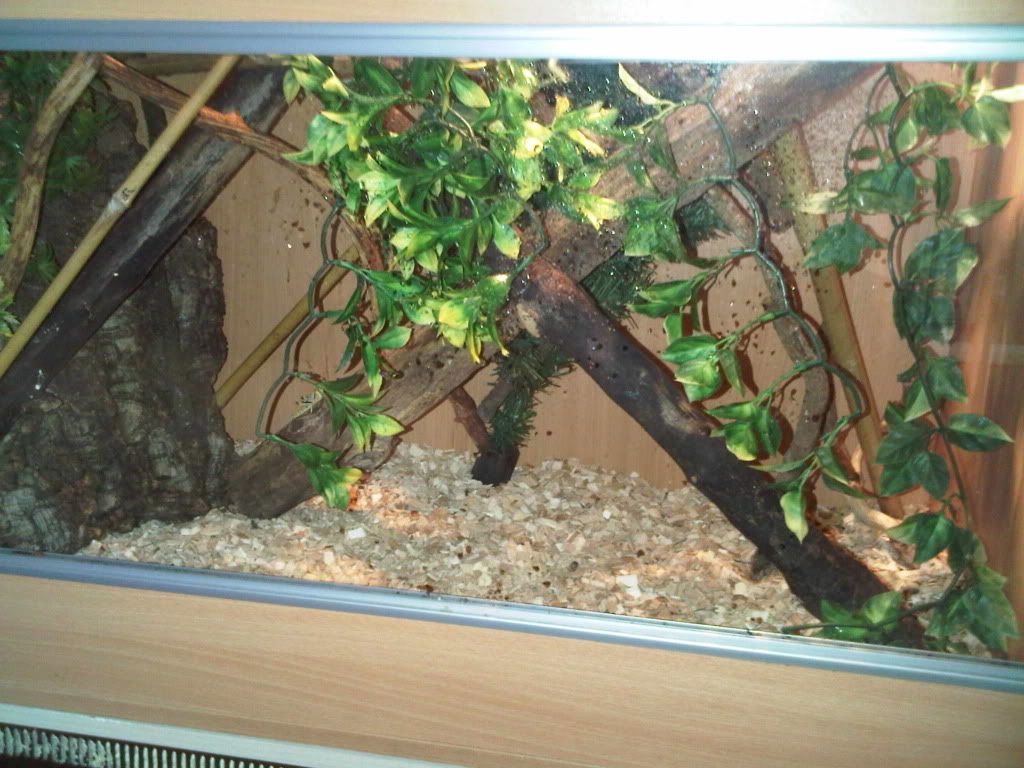 IMG00866-20110725-1637.jpg