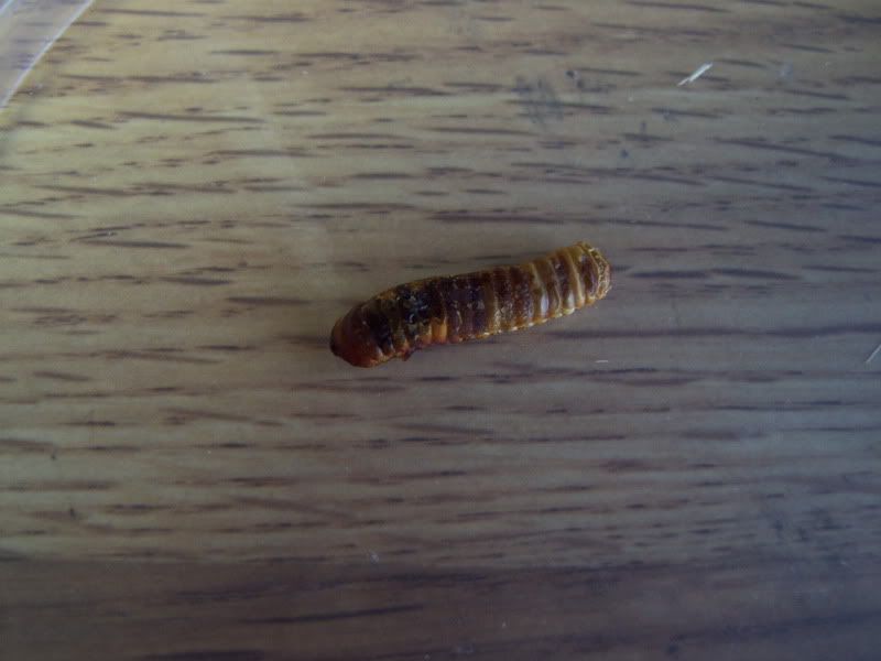 000_0094.jpg