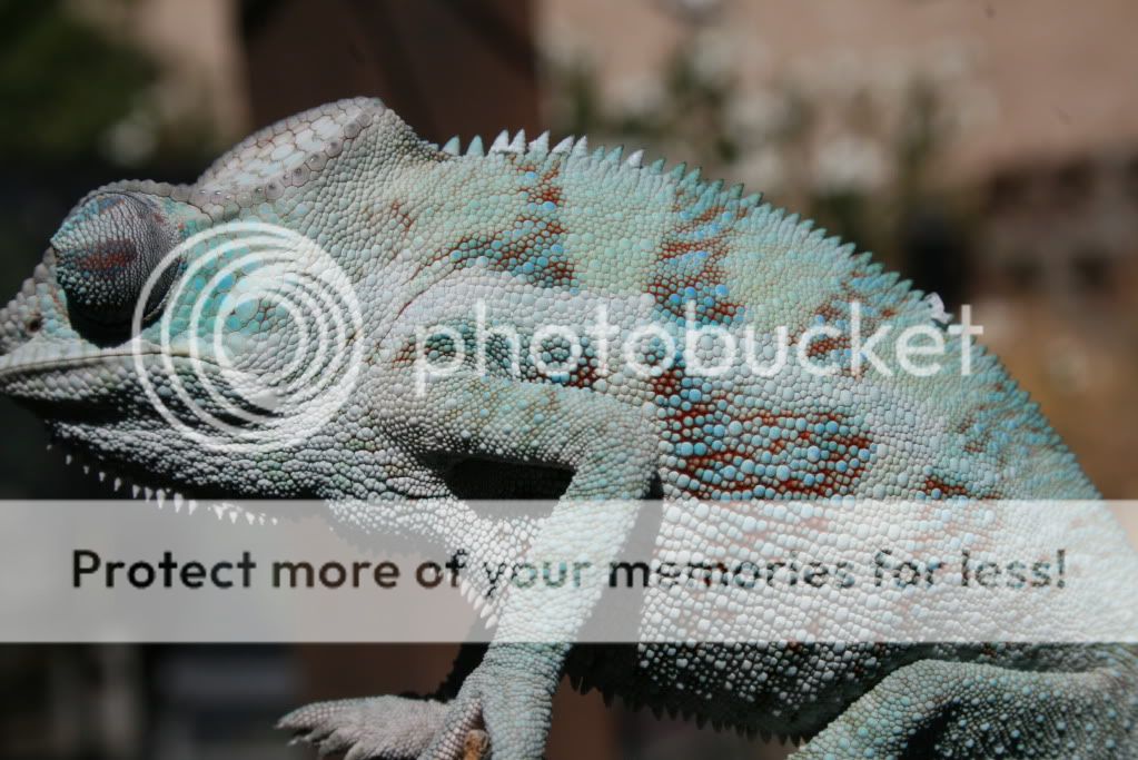 eospics9-19-09026-1.jpg