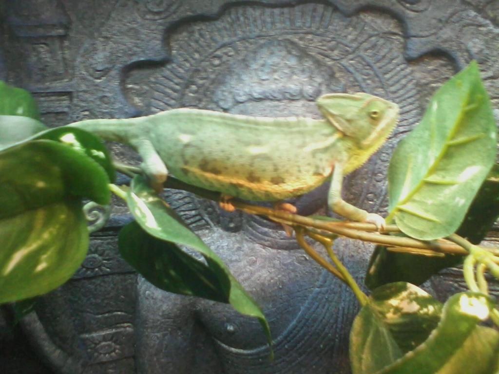 0831121103_01.jpeg