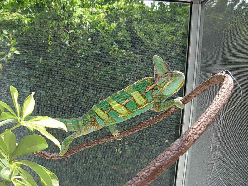 DSCN1011.jpg