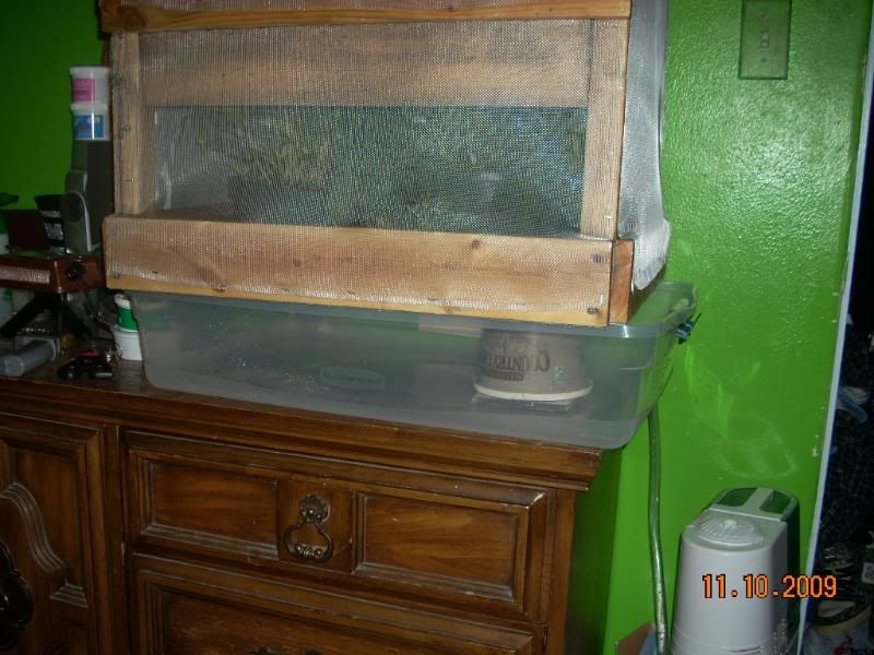 DSCN2158.jpg