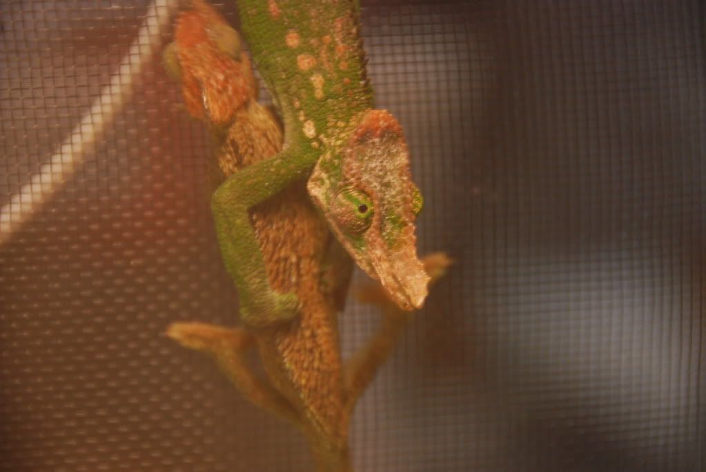 summer20111368.jpg