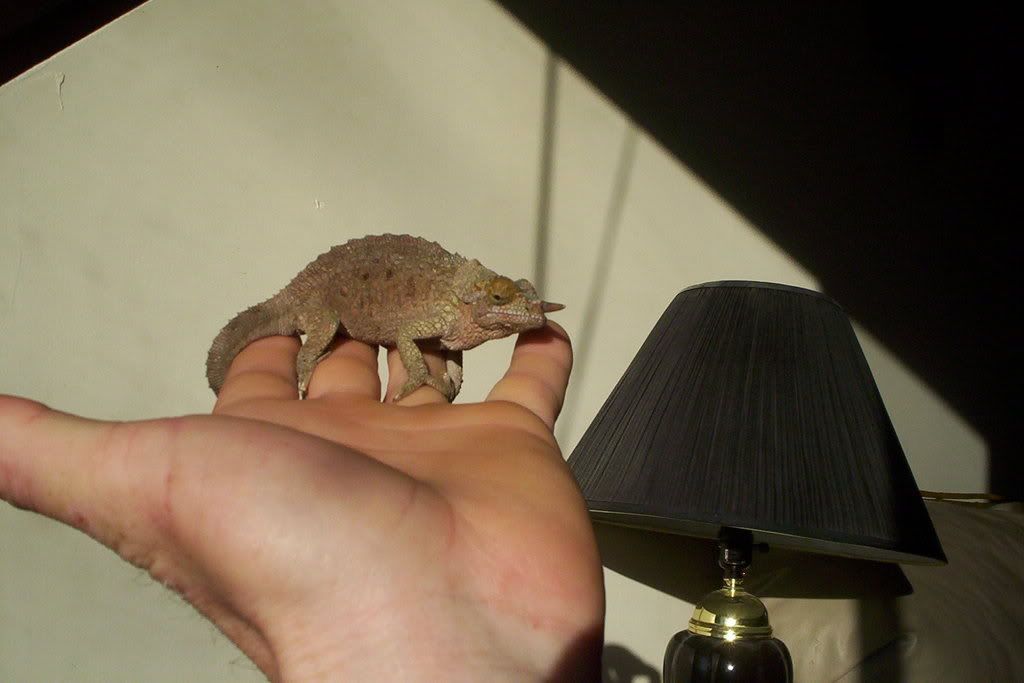 100_6125.jpg