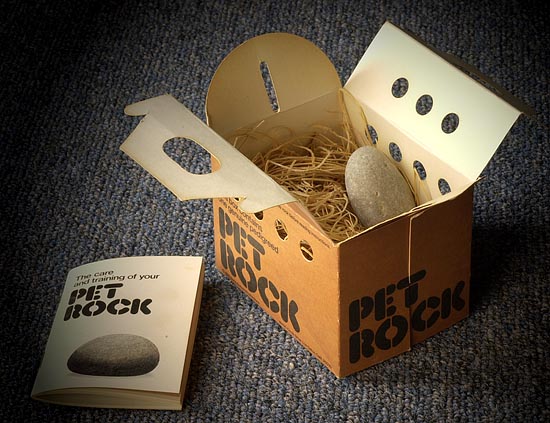 pet-rock.jpg