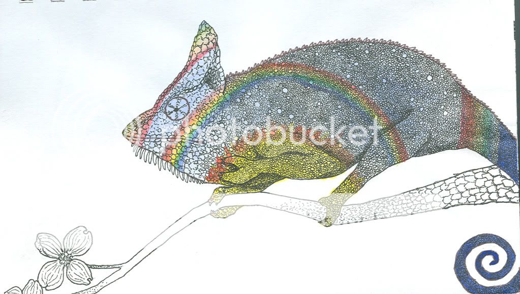 RainbowCham.jpg