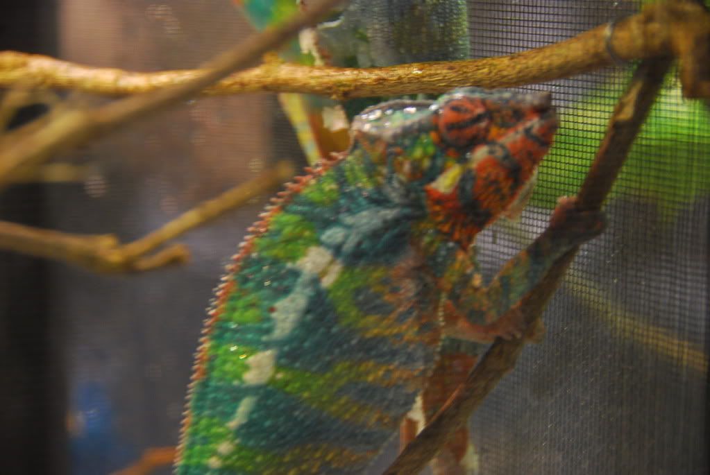 summer20111327.jpg