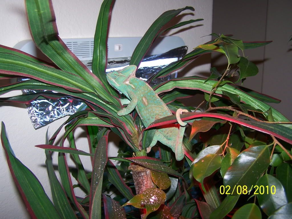 100_2367.jpg