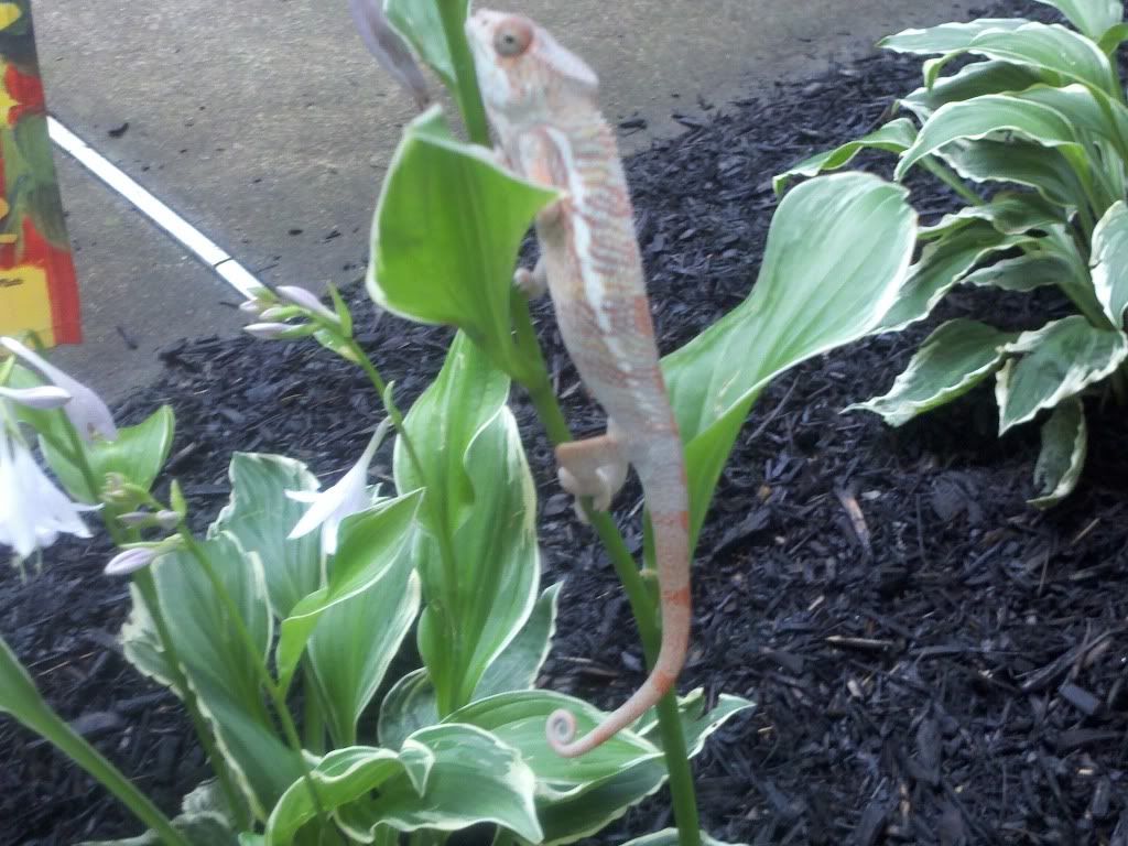 2011-06-22_13-41-57_430.jpg