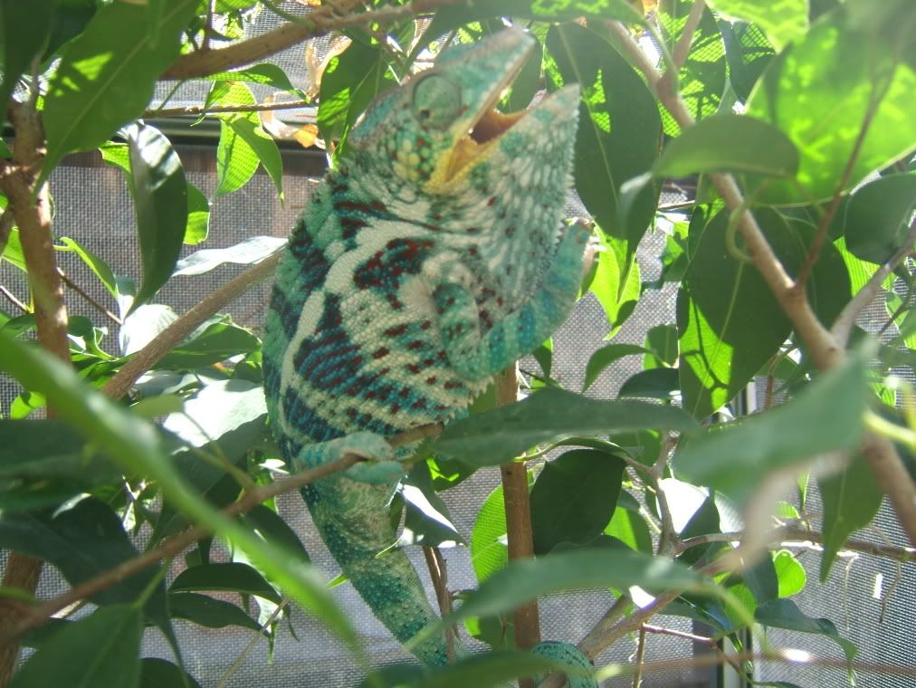 DSCF7780.jpg