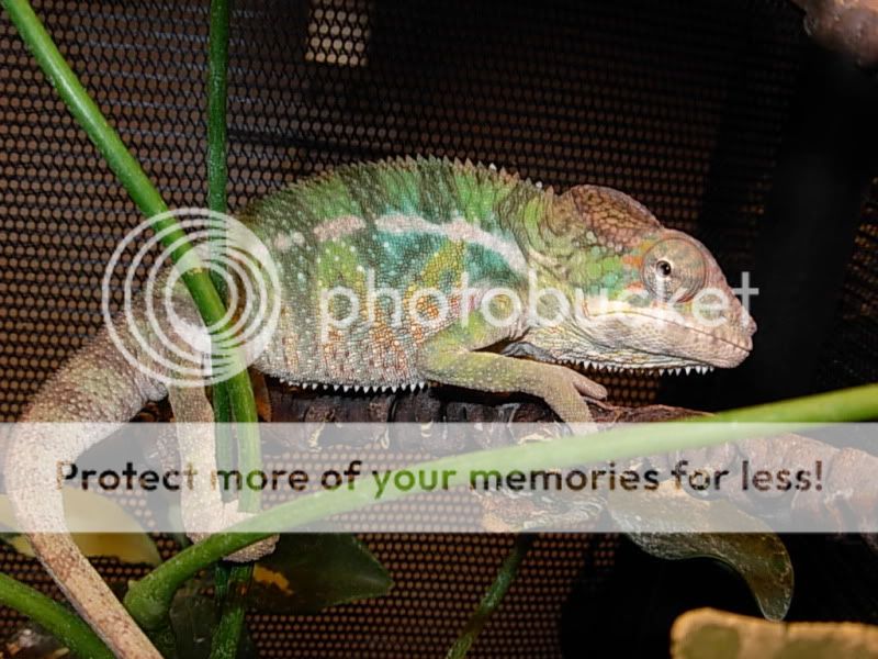DSCN6038.jpg