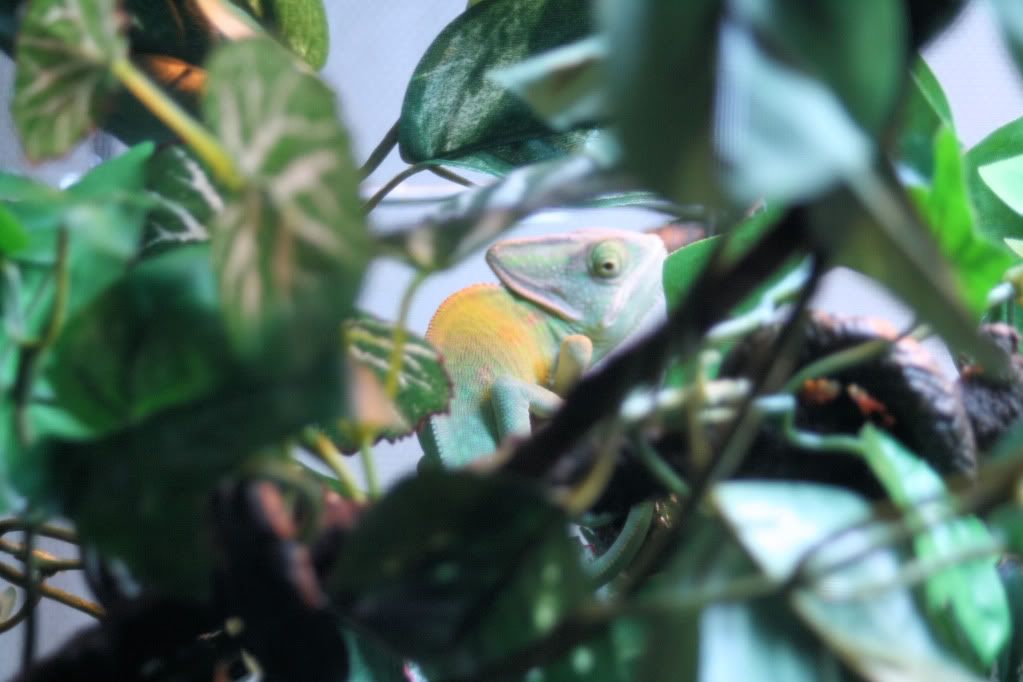 20110727_27.jpg