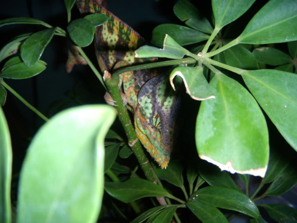 DSCN1028.jpg