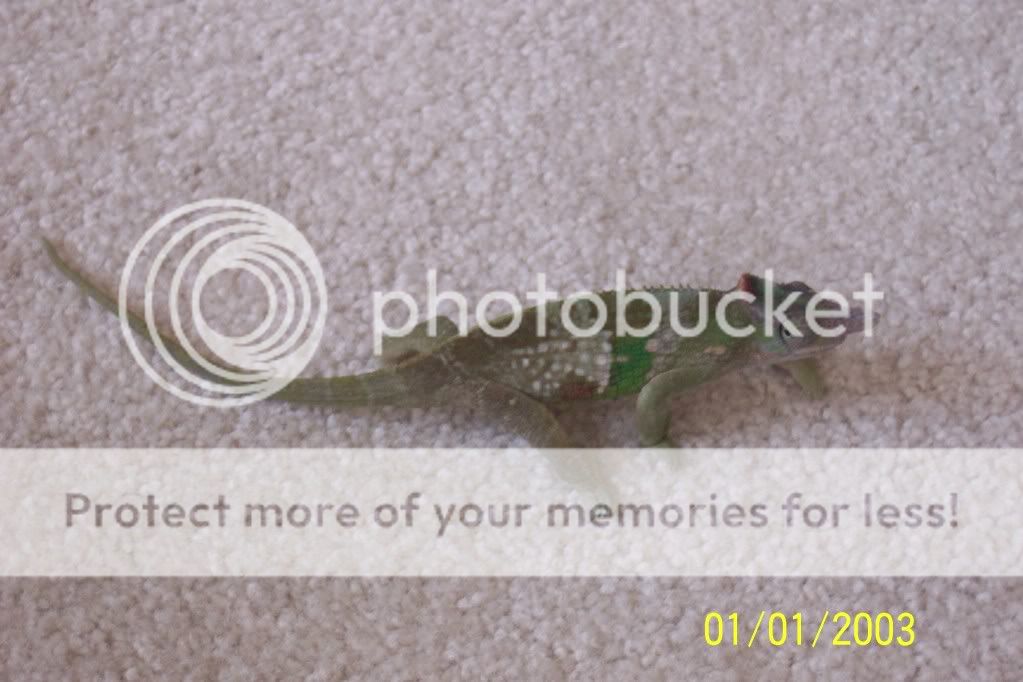 100_2500.jpg
