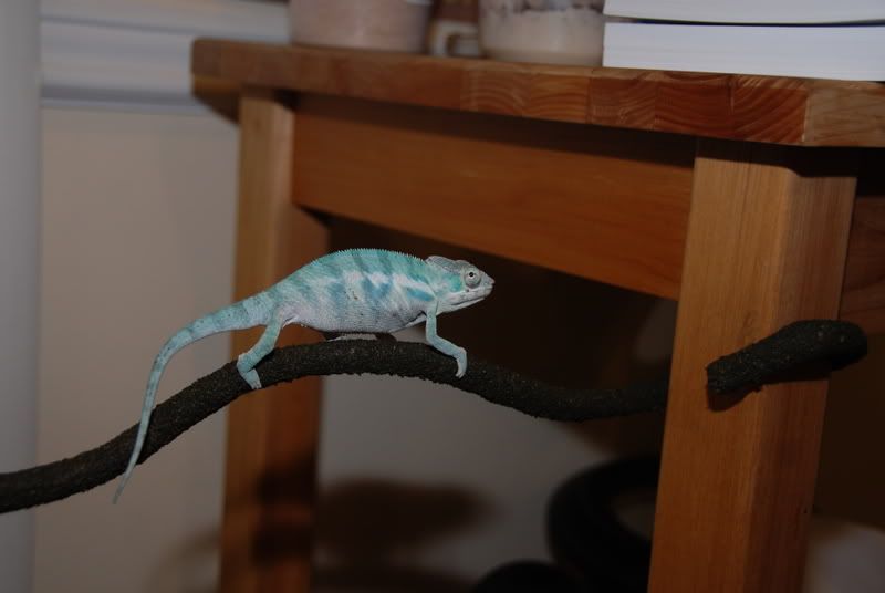 20071015034.jpg