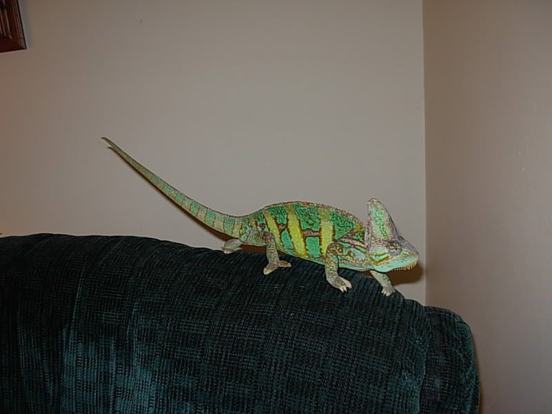 DSCN1375.jpg