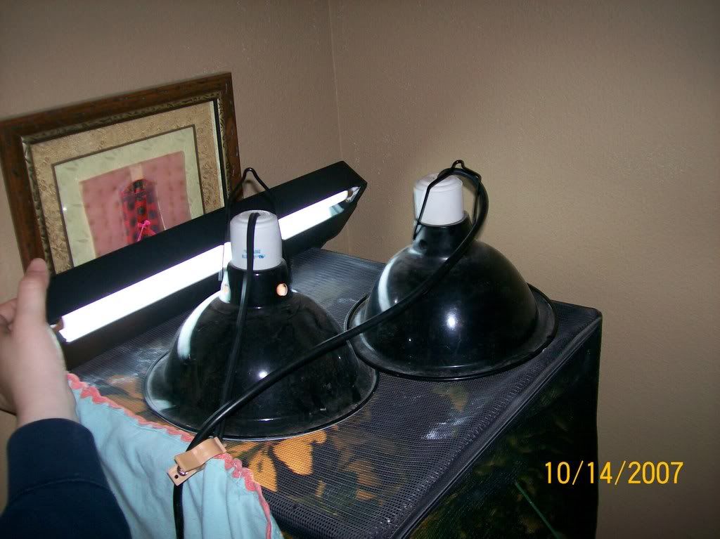 000_0001_00-1.jpg