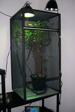 cage1.jpg