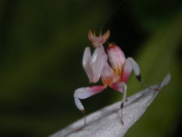 DSCN9431.jpg