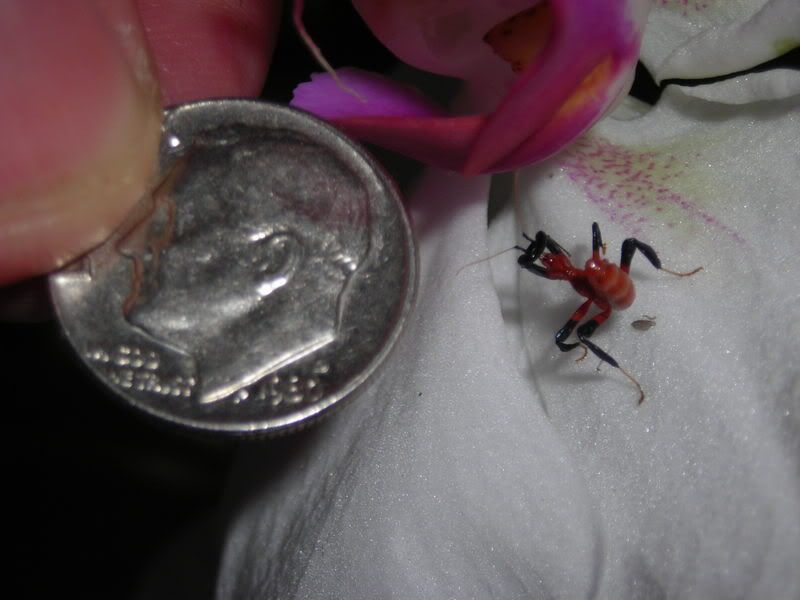 DSCN9275.jpg