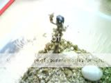 facebbookbabyfotos023.jpg