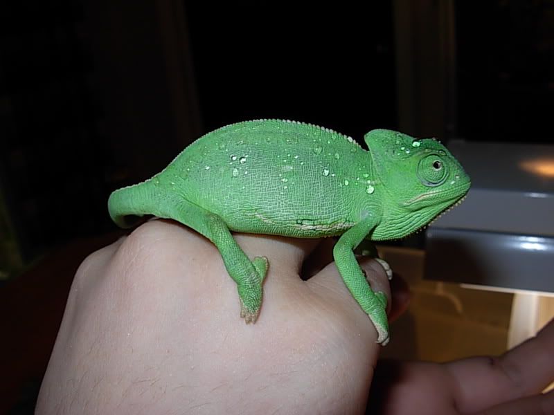DSCN2330.jpg