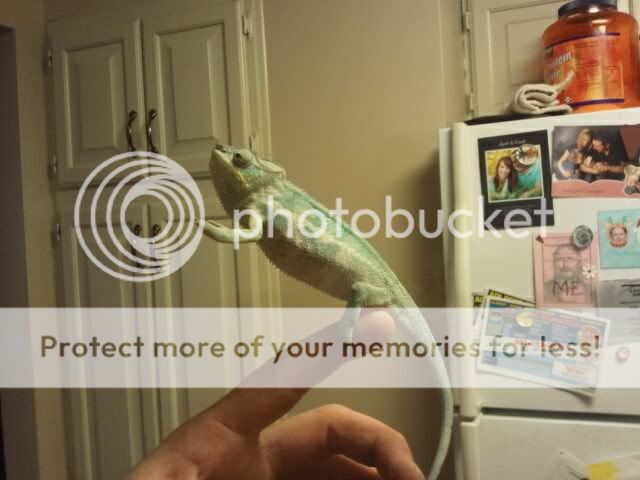 1323909210.jpg