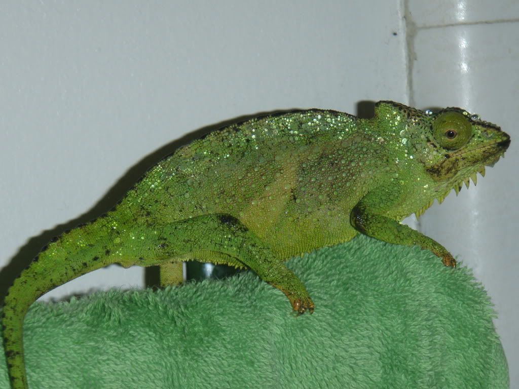 P4010350.jpg