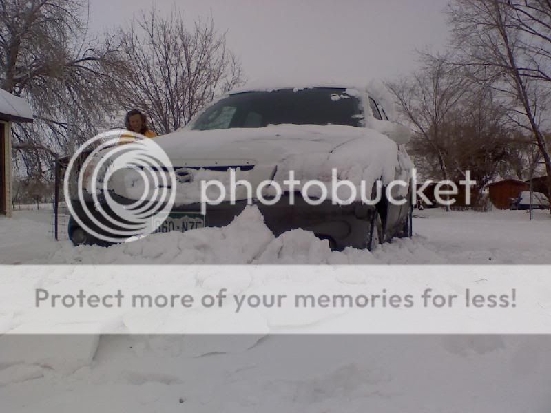 snow2.jpg