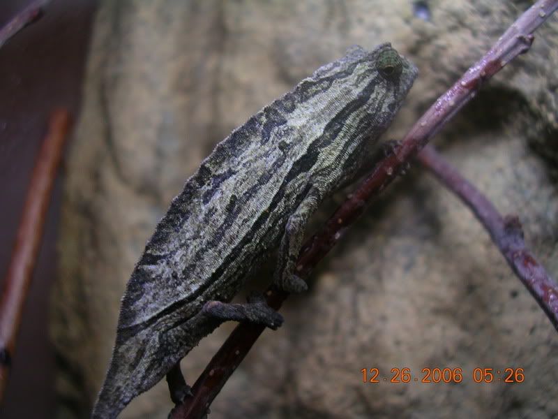 DSCN3422.jpg