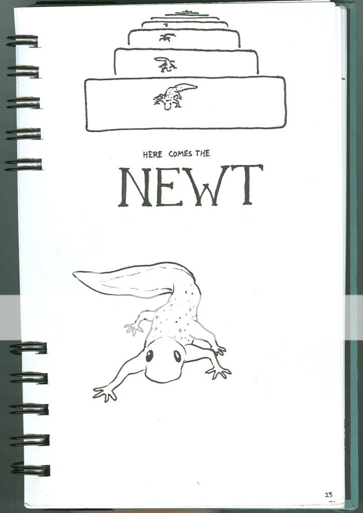 Newt.jpg