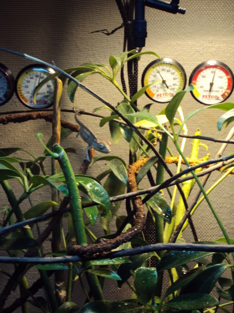 DSC00204.jpg