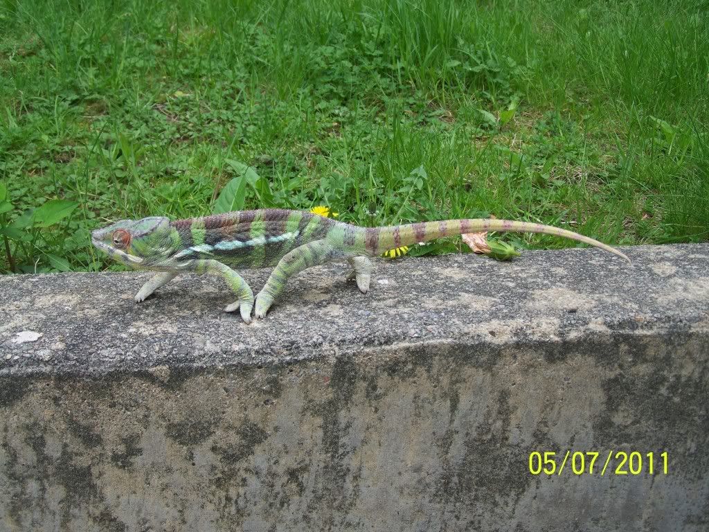 100_4677.jpg
