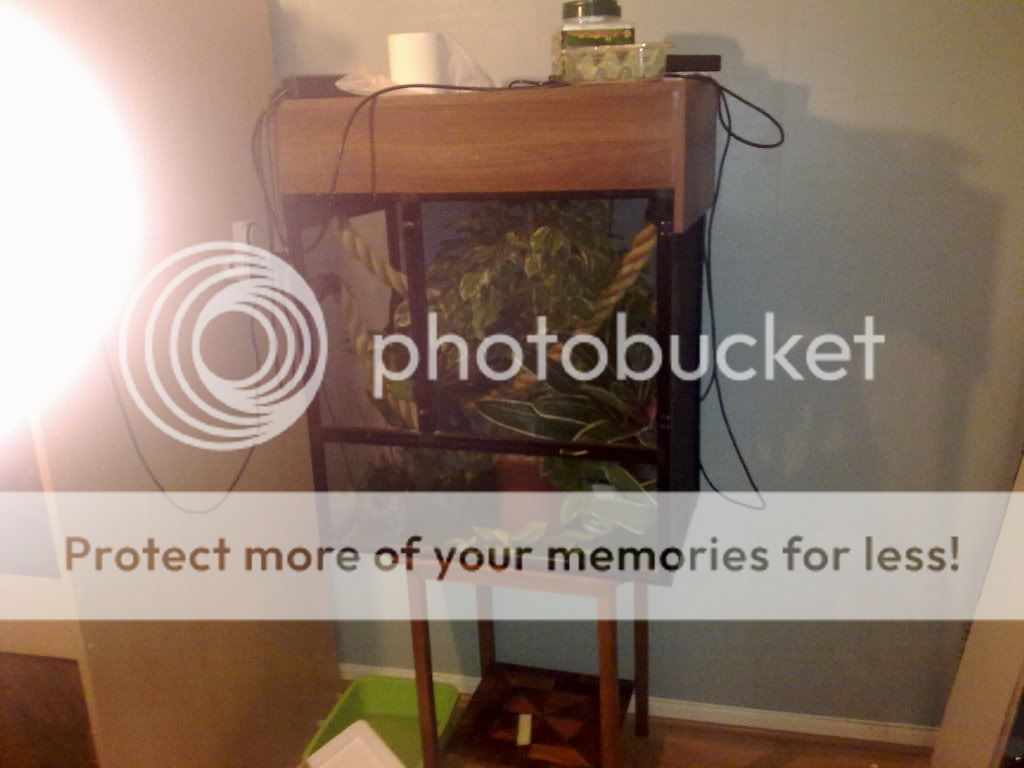 02122009099.jpg