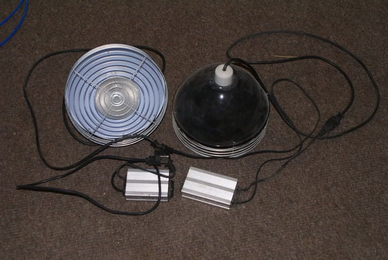 DSC06305.jpg