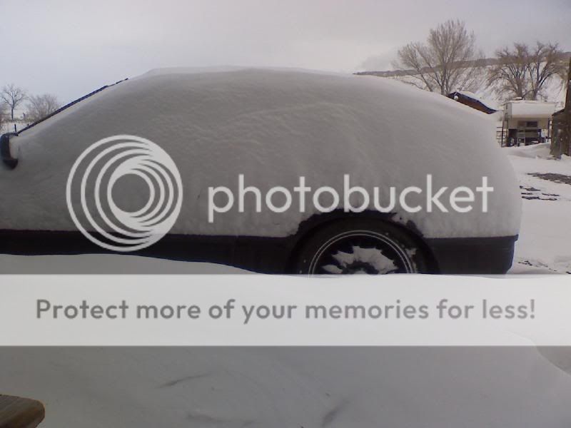 snow3.jpg