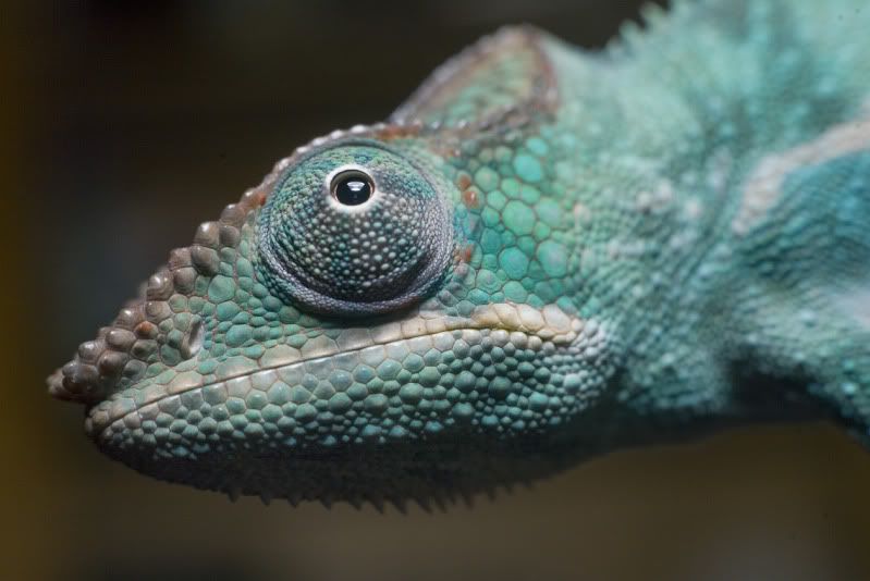 03222012_Elwood.jpg